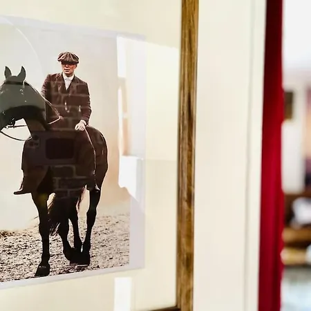 La Shelby, T3 Hypercentre 博韦