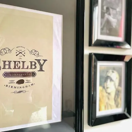 La Shelby, T3 Hypercentre 公寓